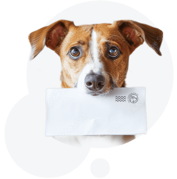 Hund mit Briefumschlag