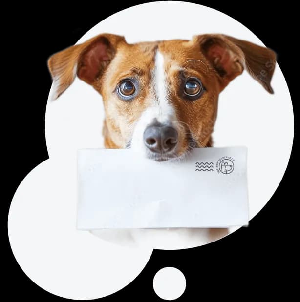 Hund mit Briefumschlag
