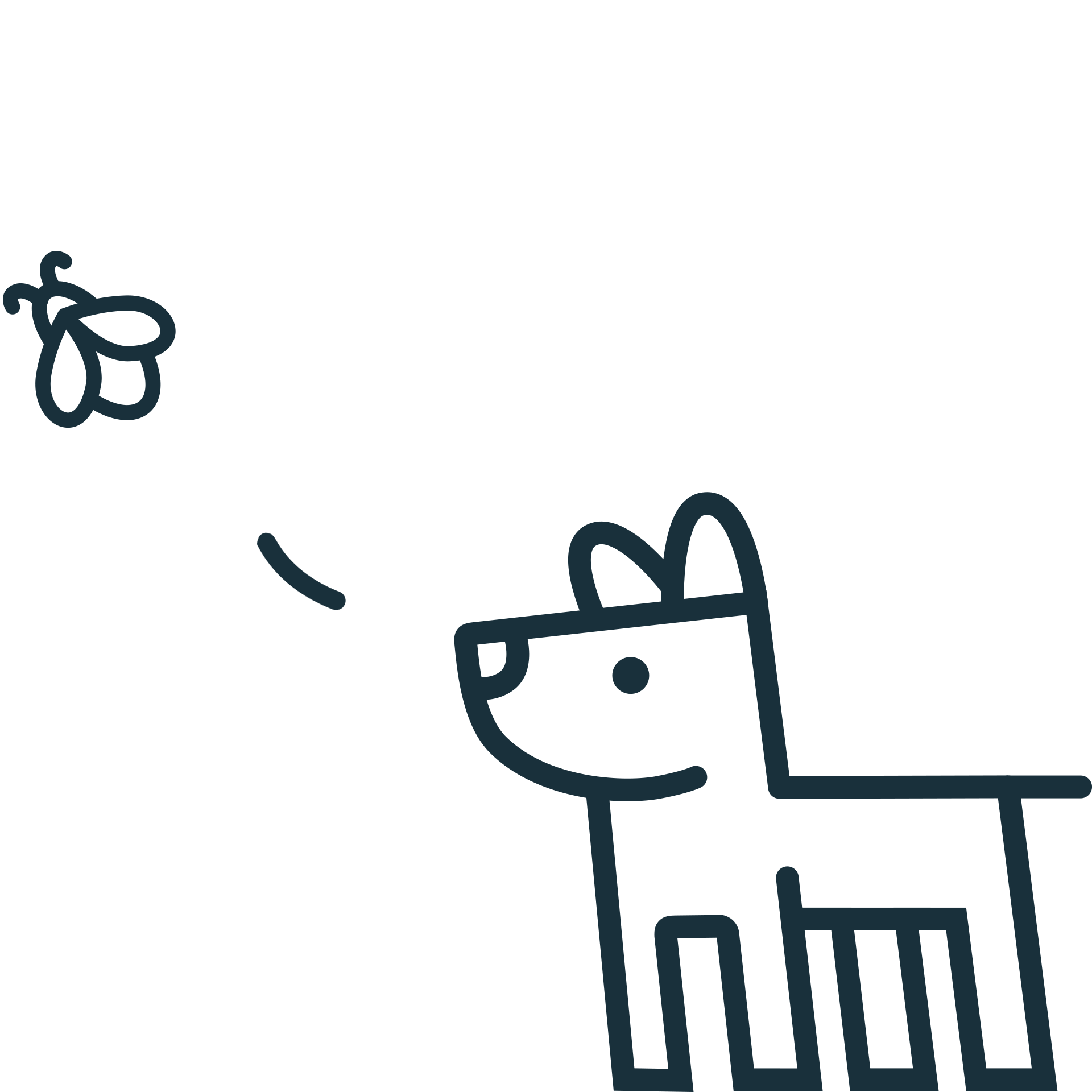 Frankreich mit Hund Wilson