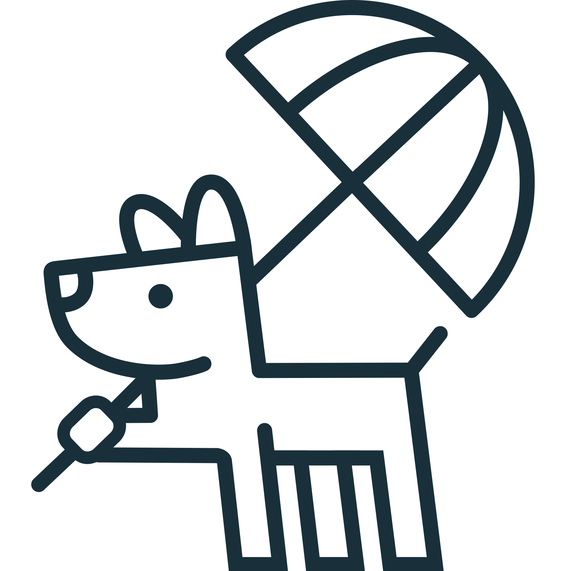 Schleswig-Holstein Wilson