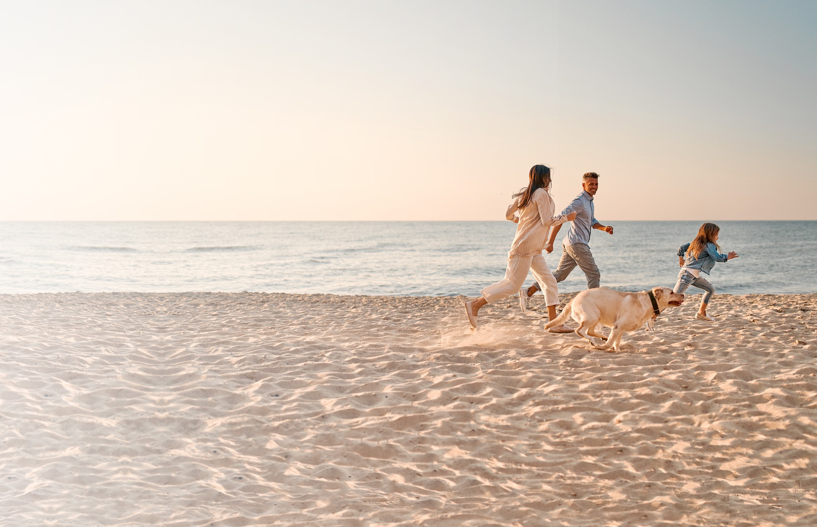 Urlaub mit Hund im Frühling